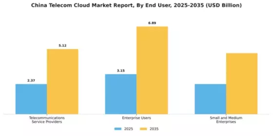 China Telecom Cloud Market Segment Image 2