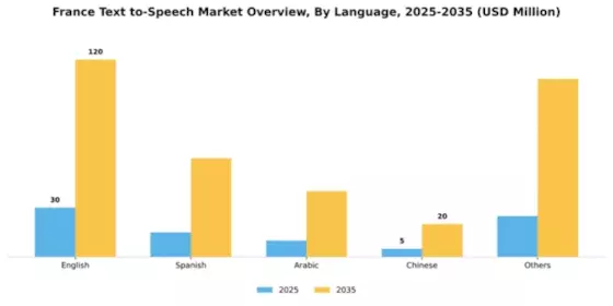 France Text To Speech Market Segment Image 3