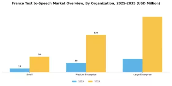 France Text To Speech Market Segment Image 4