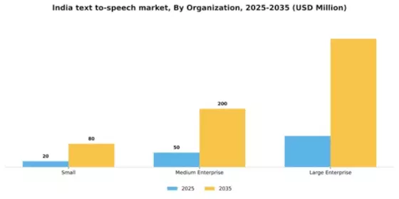 India Text To Speech Market Segment Image 4