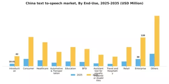 China Text To Speech Market Segment Image 2
