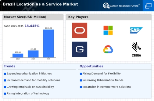 Brazil Location As A Service Market Infographic