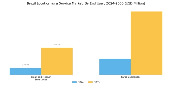 Brazil Location As A Service Market Segment Image 3