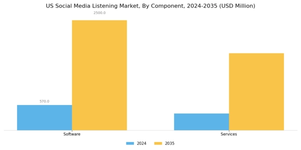 US Social Media Listening Market Segment Image 3