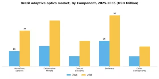 Brazil Adaptive Optics Market Segment Image 1