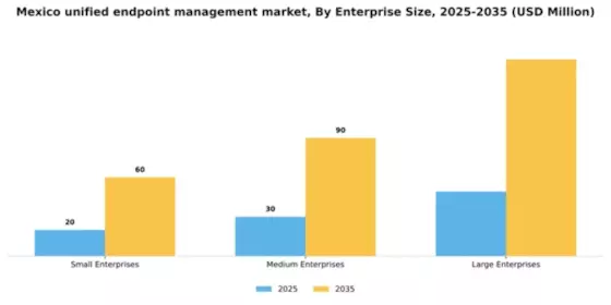 Mexico Unified Endpoint Management Market Segment Image 2
