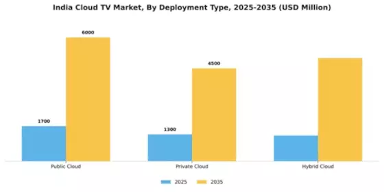 India Cloud Tv Market Segment Image 1