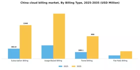 China Cloud Billing Market Segment Image 0