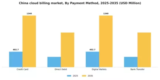 China Cloud Billing Market Segment Image 3