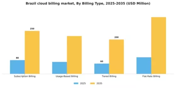 Brazil Cloud Billing Market Segment Image 0