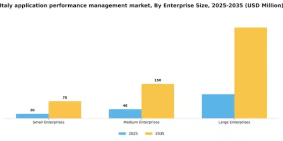 Italy Application Performance Management Market Segment Image 2