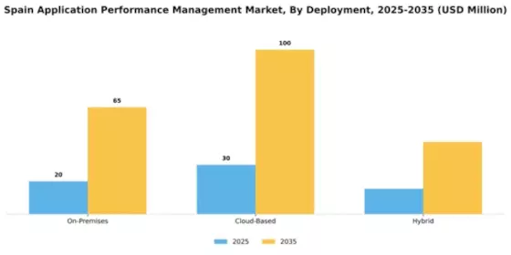 Spain Application Performance Management Market Segment Image 0