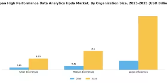 Japan High Performance Data Analytics Market Segment Image 4