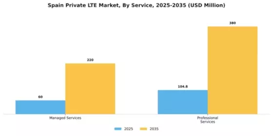 Spain Private Lte Market Segment Image 0