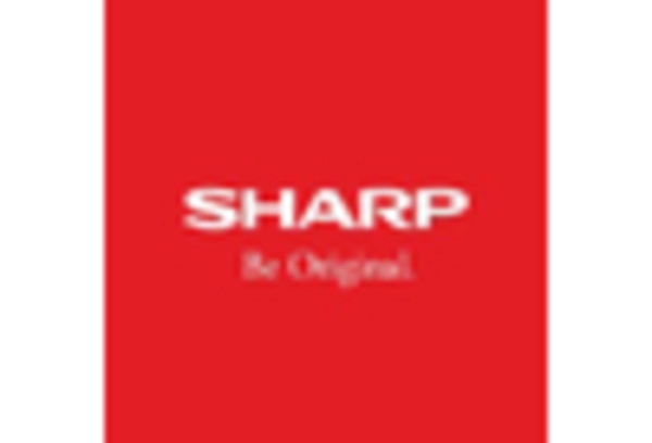 India Monochrome Display Market key player