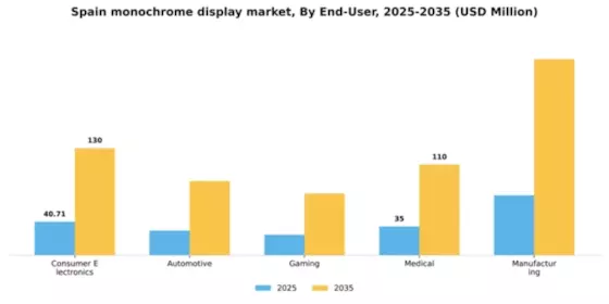 Spain Monochrome Display Market Segment Image 1