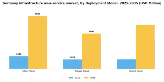 Germany Infrastructure As A Service Market Segment Image 1