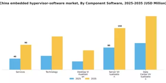 China Embedded Hypervisor Software Market Segment Image 1