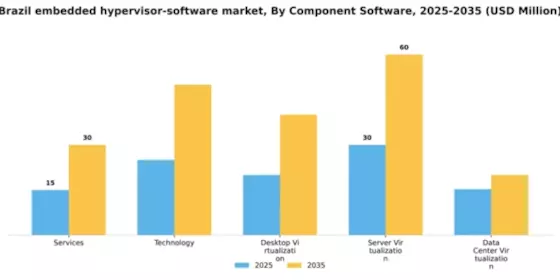 Brazil Embedded Hypervisor Software Market Segment Image 1