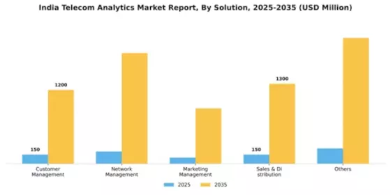 India Telecom Analytics Market Segment Image 2