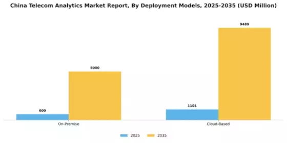 China Telecom Analytics Market Segment Image 0