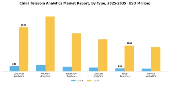 China Telecom Analytics Market Segment Image 3