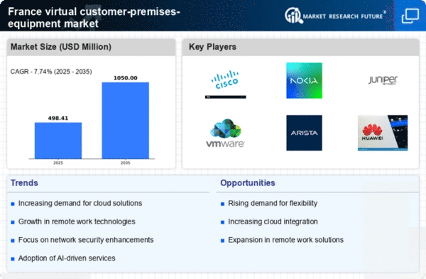France Virtual Customer Premises Equipment Market Infographic