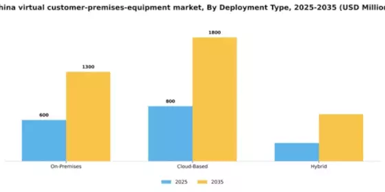 China Virtual Customer Premises Equipment Market Segment Image 0