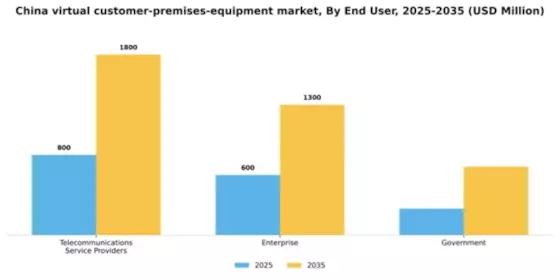 China Virtual Customer Premises Equipment Market Segment Image 1