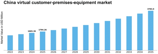 China Virtual Customer Premises Equipment Market Size