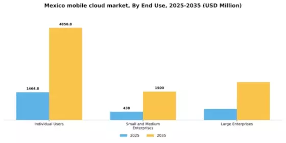Mexico Mobile Cloud Market Segment Image 2