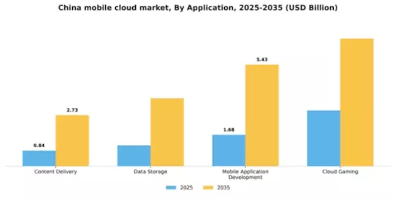 China Mobile Cloud Market Segment Image 0