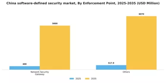 China Software Defined Security Market Segment Image 3