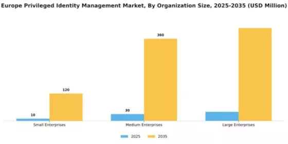 Europe Privileged Identity Management Market Segment Image 4