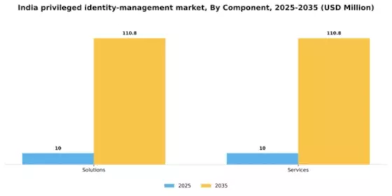 India Privileged Identity Management Market Segment Image 1