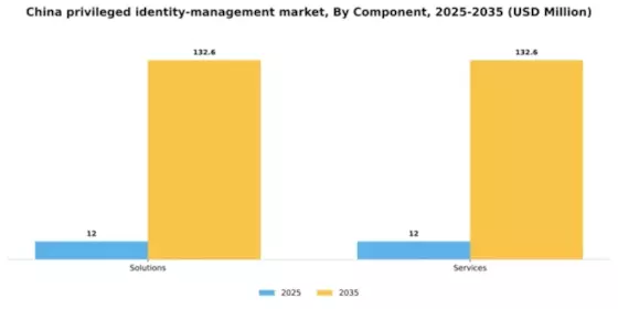China Privileged Identity Management Market Segment Image 1