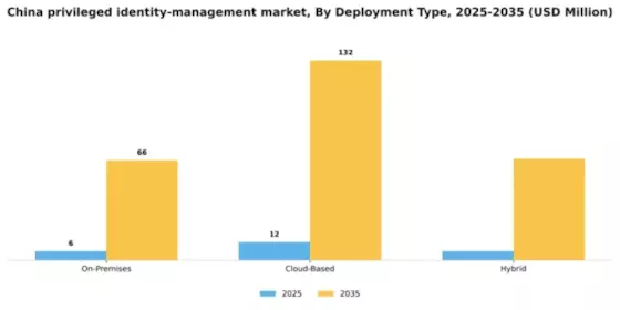 China Privileged Identity Management Market Segment Image 2