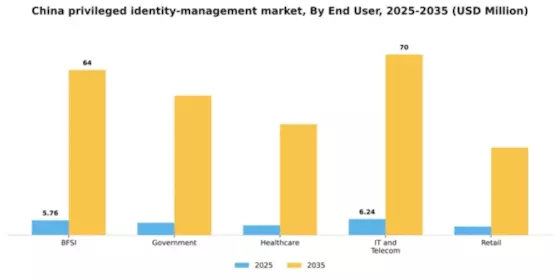 China Privileged Identity Management Market Segment Image 3