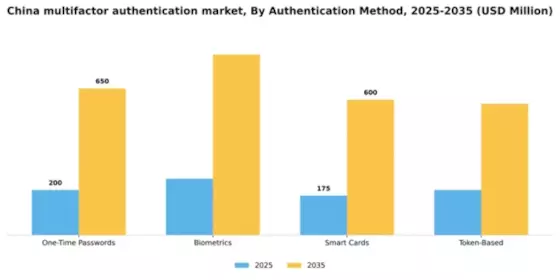 China Multifactor Authentication Market Segment Image 0