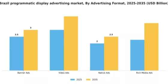 Brazil Programmatic Display Advertising Market Segment Image 0