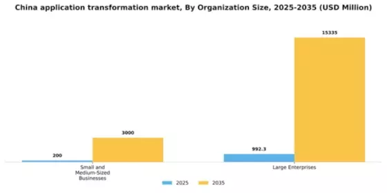 China Application Transformation Market Segment Image 0