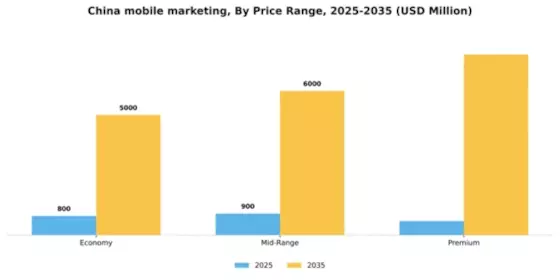 China Mobile Marketing Market Segment Image 3