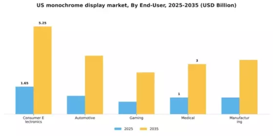 US Monochrome Display Market Segment Image 1