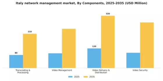 Italy Network Management Market Segment Image 0