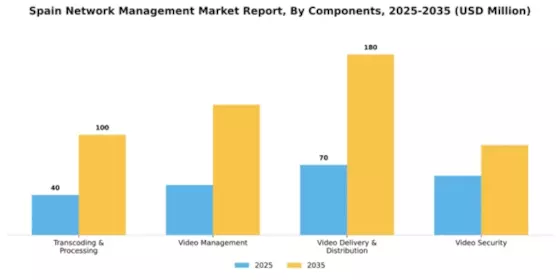 Spain Network Management Market Segment Image 0