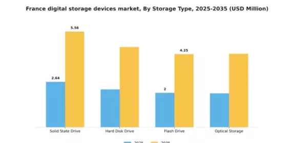 France Digital Storage Devices Market Segment Image 2