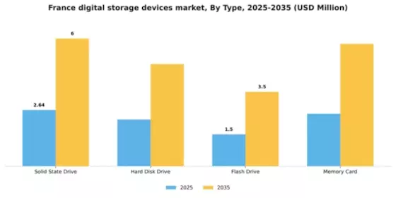 France Digital Storage Devices Market Segment Image 4