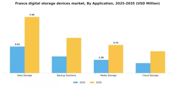France Digital Storage Devices Market Segment Image 0