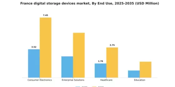 France Digital Storage Devices Market Segment Image 1