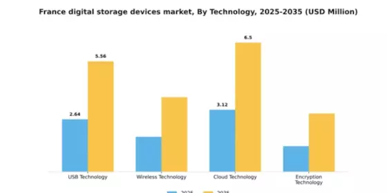 France Digital Storage Devices Market Segment Image 3